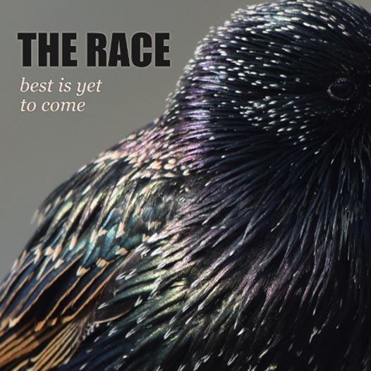 The Race