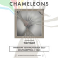 The Chameleons