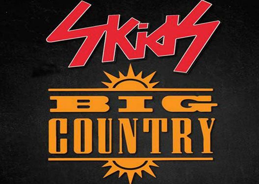 Big Country/TheSkids