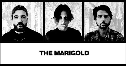 The Marigold