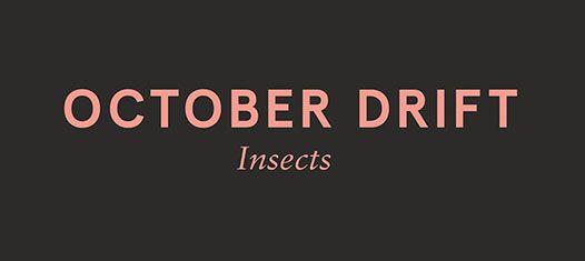Single: “Insects” by October Drift
