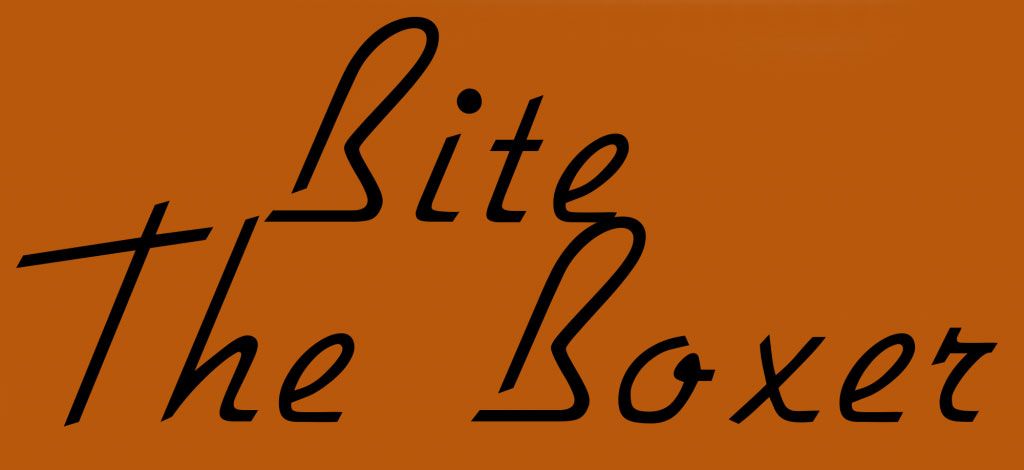 Single: “Forgotten” by Bite The Boxer