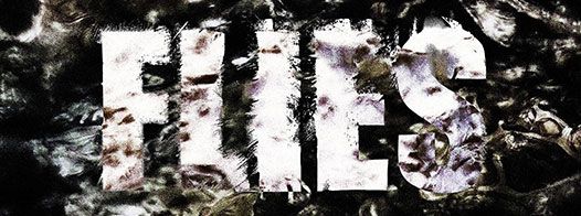 Single: “Flies” by Pulse