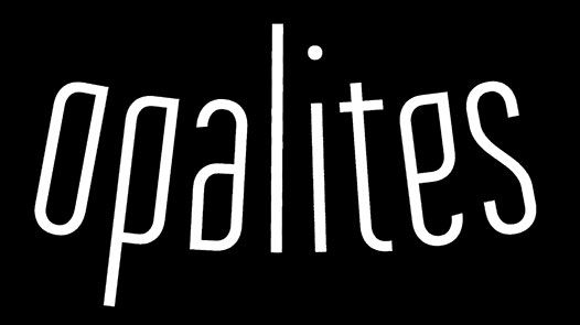 Single: “Too Late” by Opalites