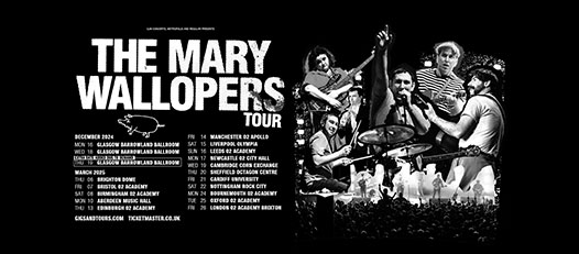 The Mary Wallopers/Sexy Tadhg