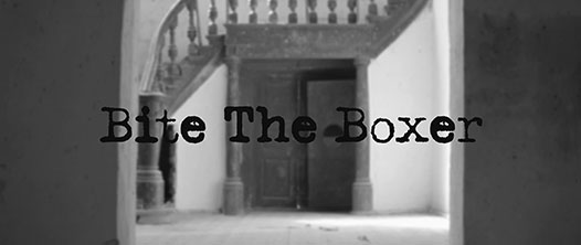 Single: “Venom Test” by Bite The Boxer