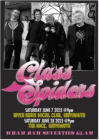 Glass Spiders