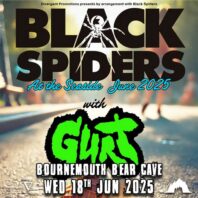Black Spiders